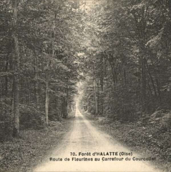 Verneuil-en-Halatte Foret Route Fleurines Carrefour Courcol