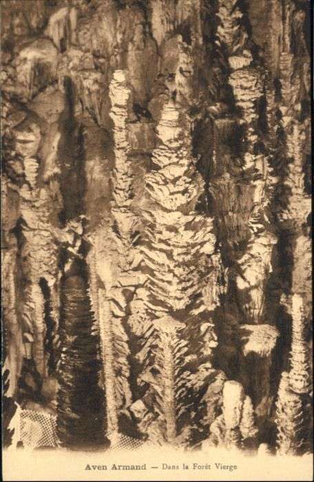 Meyrueis Höhle Aven Armand Foret Vierge