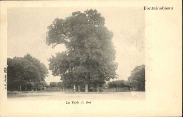 Fontainebleau Tabel Roi