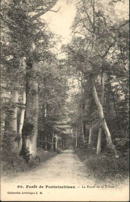 Fontainebleau Foret Route Tillaie