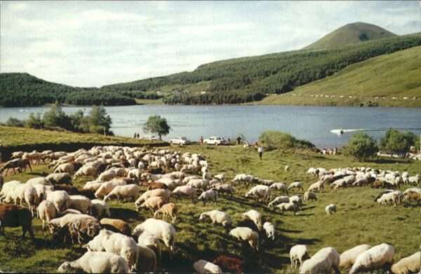 Mont-Dore Lac Guery