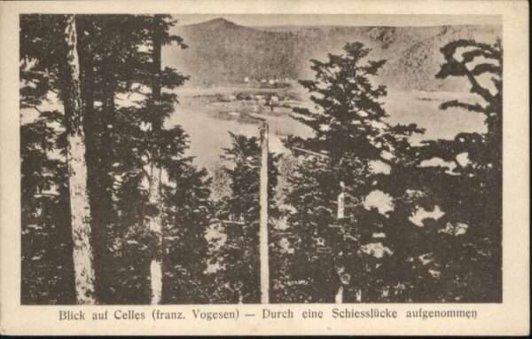 Celles