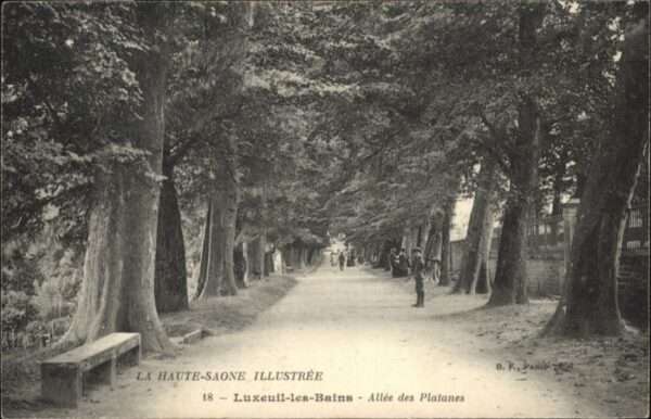 Luxeuil-les-Bains Allee Plantanes