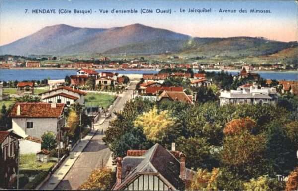 Hendaye Pyrenees Atlantiques Jaizquibel Avenue Mimosas
