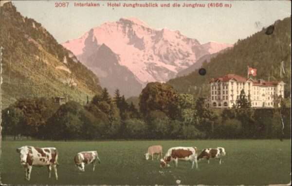 Interlaken BE Interlaken Hotel Jungfraublick