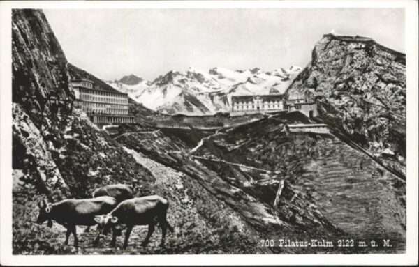 Pilatus