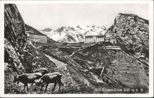Pilatus