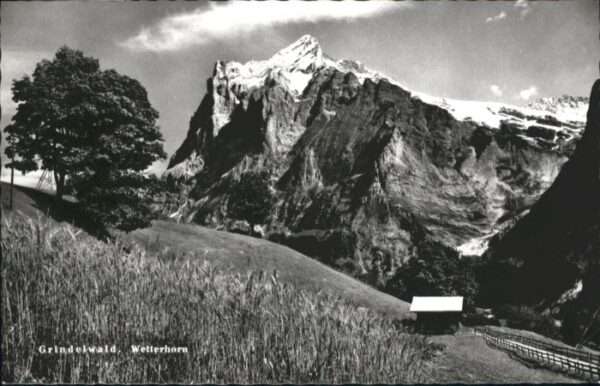 Grindelwald Wetterhorn
