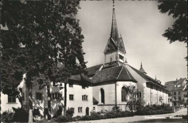 Schaffhausen SH Schaffhausen Münster