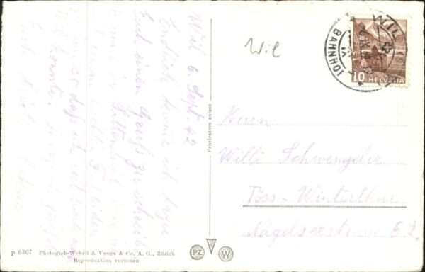Wil Schwanenteich – Bild 2