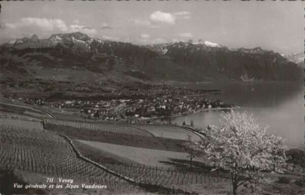 Vevey VD Vevey
