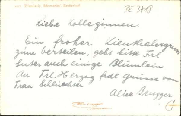 Kiental Blümlisalp Schranachtal Reichenbach – Bild 2