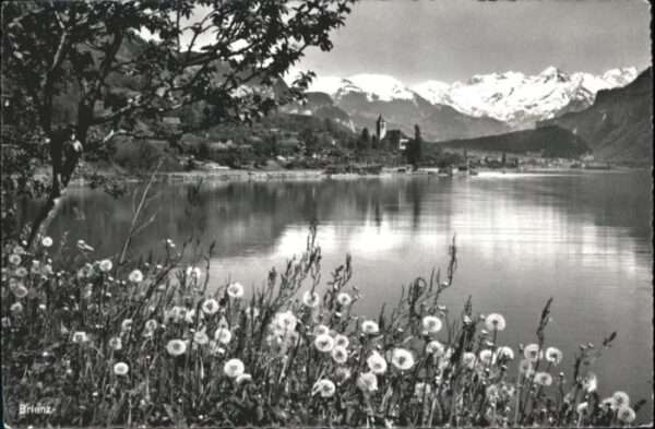 Brienz BE Brienz