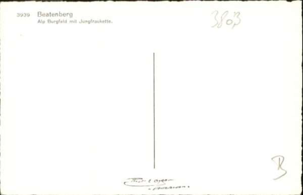 Beatenberg Alp Burgfeld Jungfraukette – Bild 2