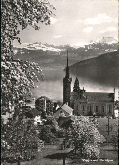 Weggis Vierwaldstaettersee Weggis