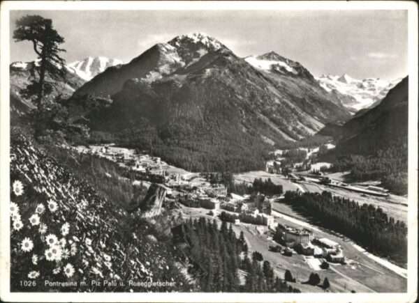 Pontresina Piz Palü Roseggletscher