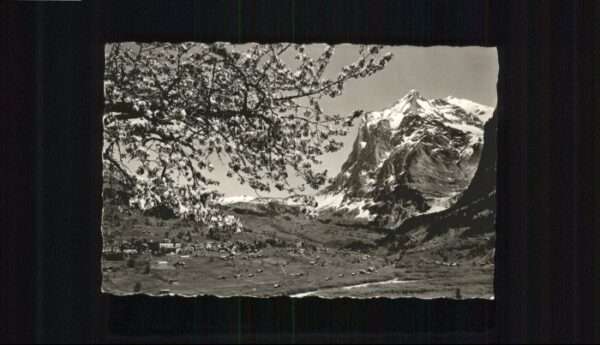 Grindelwald Wetterhorn