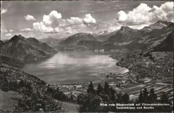 Ennetbuergen uochs Vierwaldstättersee x