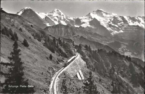 Schynige Platte Zug