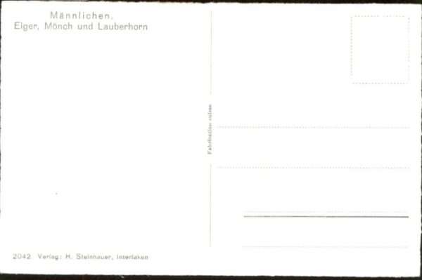 Maennlichen iger Mönch Lauberhorn * – Bild 2