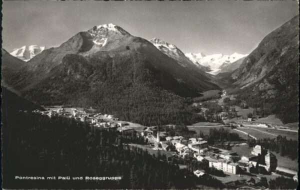 Pontresina Palü Roseggruppe
