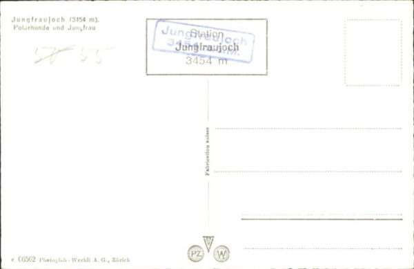 Jungfrau BE Jungfrau Polarhunde – Bild 2