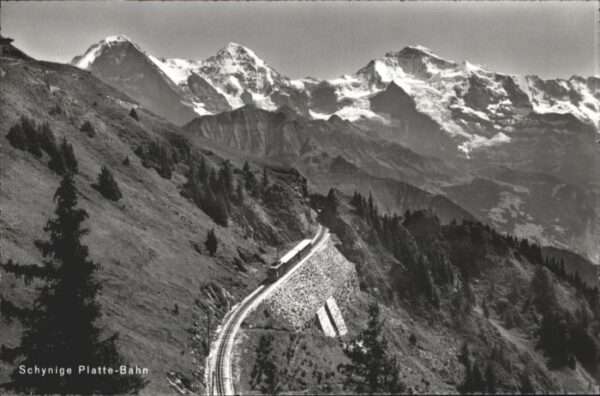 Schynige Platte Zug