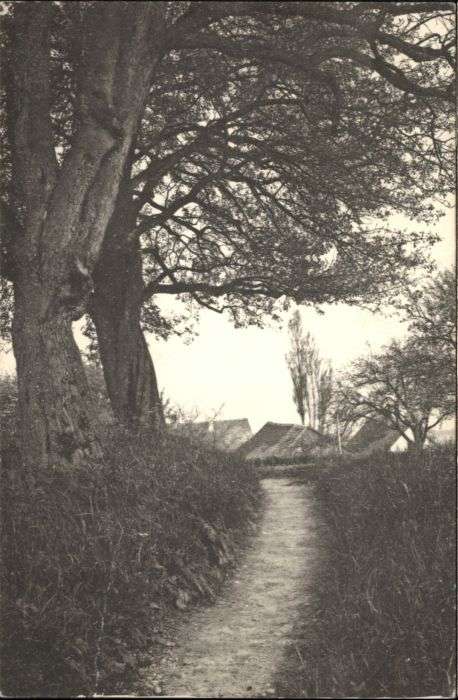 Kuesnacht
