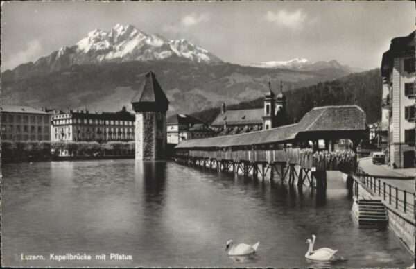 Luzern LU Luzern Kapellbrücke Pilatus Schwan