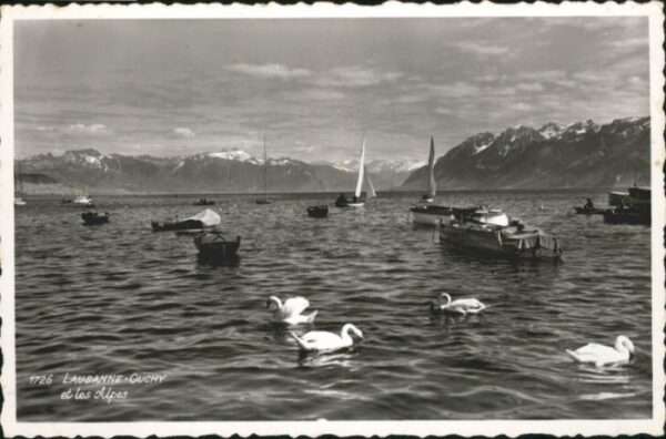 Lausanne VD Lausanne Boot Schwan