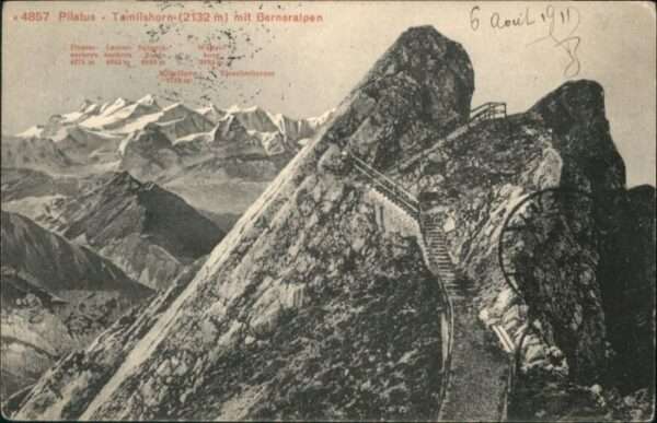 Pilatus Tomlishorn