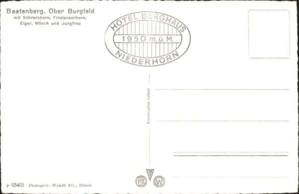 Beatenberg Schreckhorn Fisteraarhorn Eiger Mönch J – Bild 2