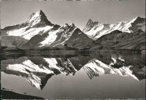 Grindelwald Bachsee Schreckhorn Finsteraarhorn Fies