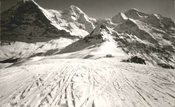 Maennlichen iger Mönch Jungfrau x