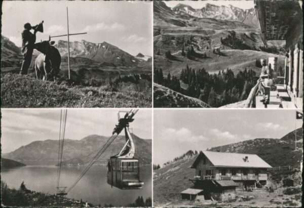 Beckenried Tannenbühl Kuh Seilbahn