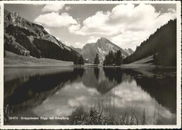 Unterwasser Gräppelensee Schafberg