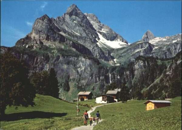 Braunwald GL Braunwald