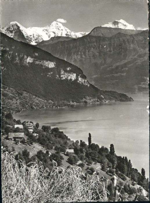 Gunten Thunersee