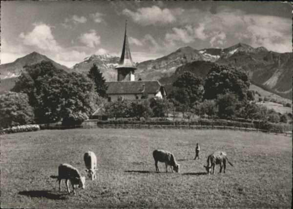 Aeschi Spiez Kirche Morgenberghorn Schwalmern Kühe