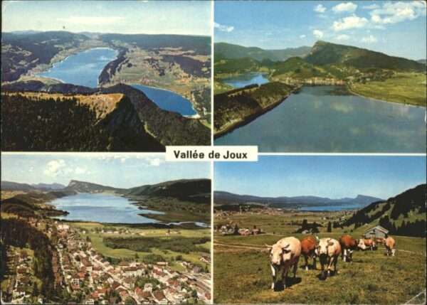 Le Sentier Valle de Joux Kühe