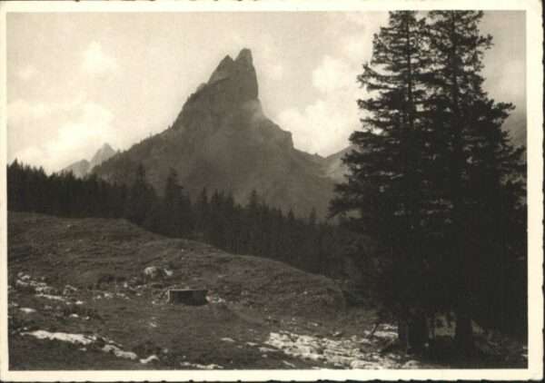 Hundstein