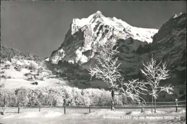 Grindelwald Wetterhorn