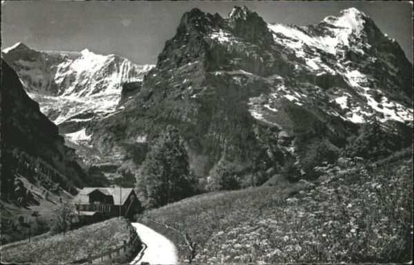 Grindelwald Fiescherwand Eiger