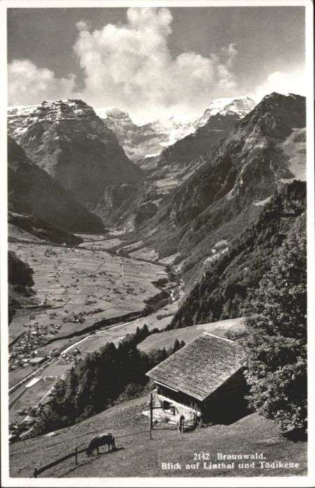 Braunwald GL Braunwald Linthal Tödikette Kuh