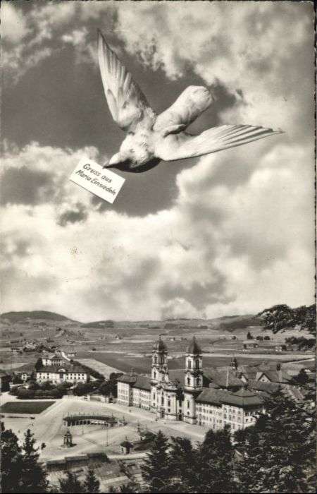 Einsiedeln SZ Einsiedeln Vogel