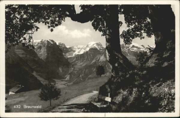 Braunwald GL Braunwald