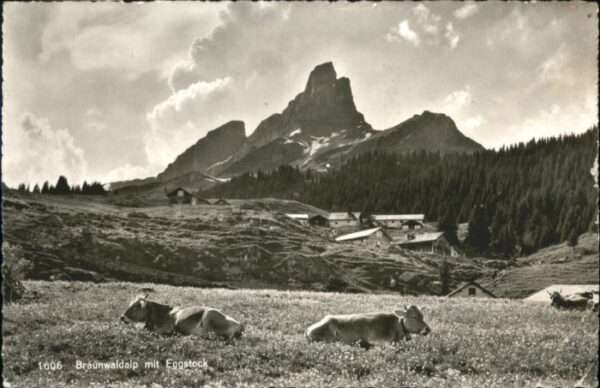 Braunwald GL Braunwald Eggstock Kuh
