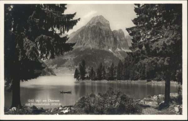 Naefels bersee Brünnelistock Boot *
