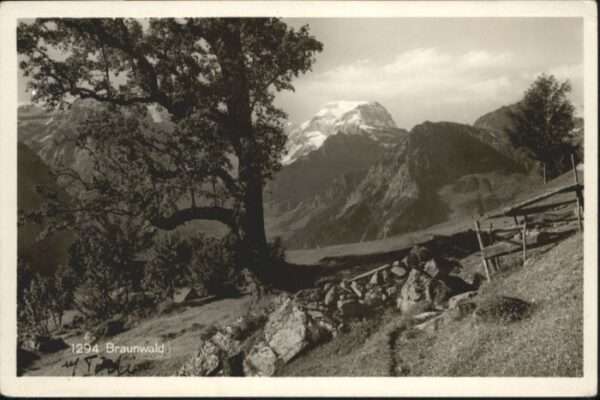 Braunwald GL Braunwald