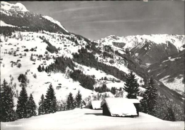 Braunwald GL Braunwald